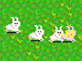 Jogo Bunny Bunny Boom