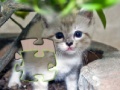 Jogo Jigsaw: Happy Kitty