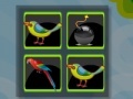 Jogo Bomb Memory-Birds