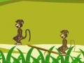 Jogo Baboon Duel