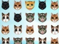 Jogo Kitty Matching 