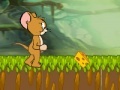 Jogo Tom and Jerry : Cheese Land