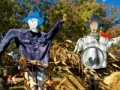 Jogo Scarecrow