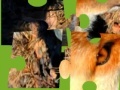 Jogo Jigsaws:Wild Animals 2