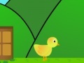 Jogo Super Chick