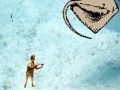 Jogo Stingray Hunter
