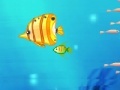 Jogo Big Fish eat small