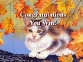 Jogo Art Kittens Puzzles 2