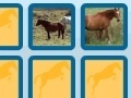 Jogo Memory with horses