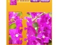 Jogo Bougainvillea Jigsaw