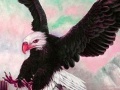 Jogo Wild acrobat eagle puzzle