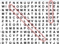Jogo Word Search