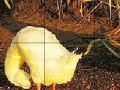 Jogo Funny ducks slide puzzle