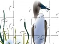 Jogo Sea Bird Jigsaw