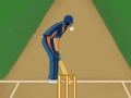 Jogo Super Cricket