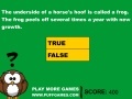 Jogo Useless Animal Facts