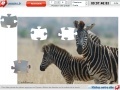 Jogo Zebras Jigsaw