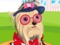 Jogo Pet Dressup 5