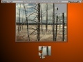Jogo Burned Trees Moving Jigsaw