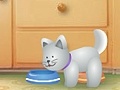 Jogo Net Pet