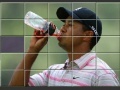 Jogo Tiger Woods
