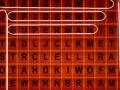 Jogo Word Search Challenge - 114