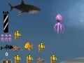 Jogo Octopus Life