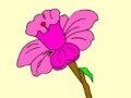 Jogo Magic Of Colors