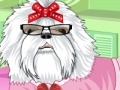 Jogo Lovely Puppy Dress Up