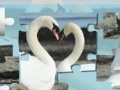 Jogo Valentine Swans