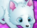 Jogo Arctic foxes