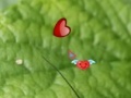 Jogo Hidden Nature Hearts