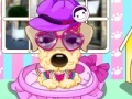 Jogo Pampered Dog Salon