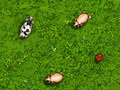 Jogo Eggsplosive