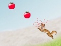 Jogo Squirrel shooting