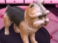 Jogo Barbie: Groom and Glam Pups