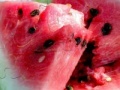 Jogo Watermelon