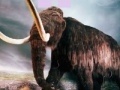 Jogo Puzzle - Mammoth