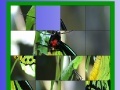 Jogo Green butterfly slide puzzle