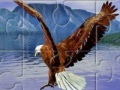 Jogo Eagle
