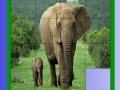 Jogo Mother and tiny elephant slide puzzle