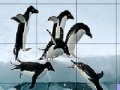 Jogo Slide Puzzle