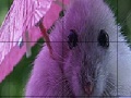 Jogo Umbrella and mouse slide puzzle