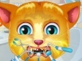 Jogo Talking Ginger. Tooth problems
