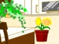 Jogo My Kitchen