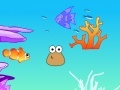 Jogo Pou Ocean Decorating