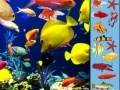 Jogo Underwater Hidden Objects