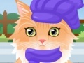 Jogo Kitty Groomer
