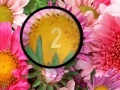 Jogo Flowers 3 Hidden Numbers