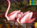 Jogo Jigsaw red swans